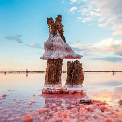 乐鱼官网手机版下载手机版